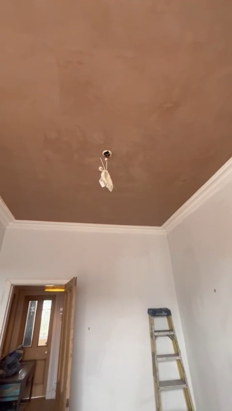 Freshly finished ceiling run neatly into decorative coving in a Glasgow room